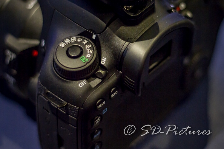 Portfolio & freie Arbeiten